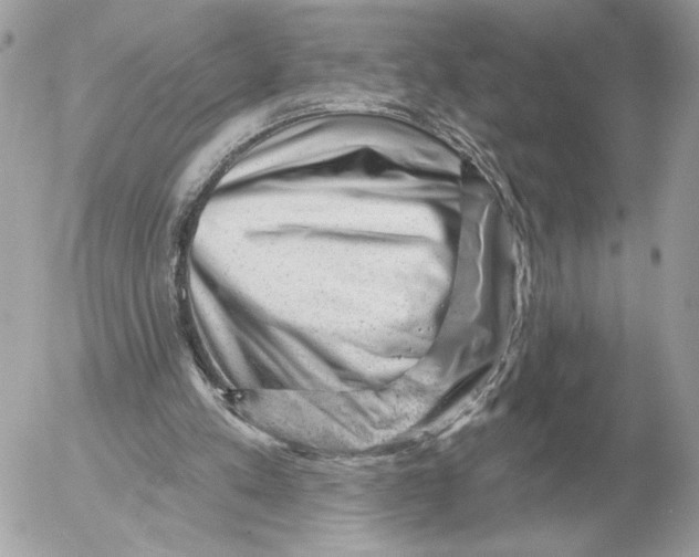 X0000052640197200507221824