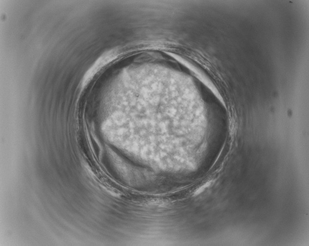 X0000052640198200507221824