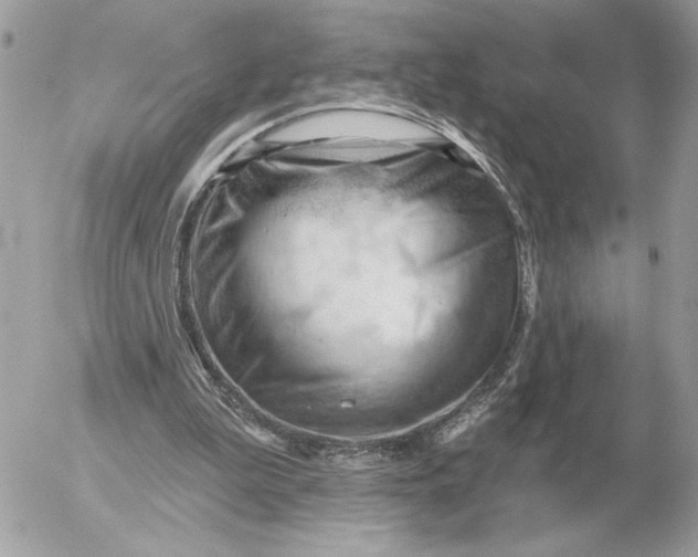 X0000052640199200507221824