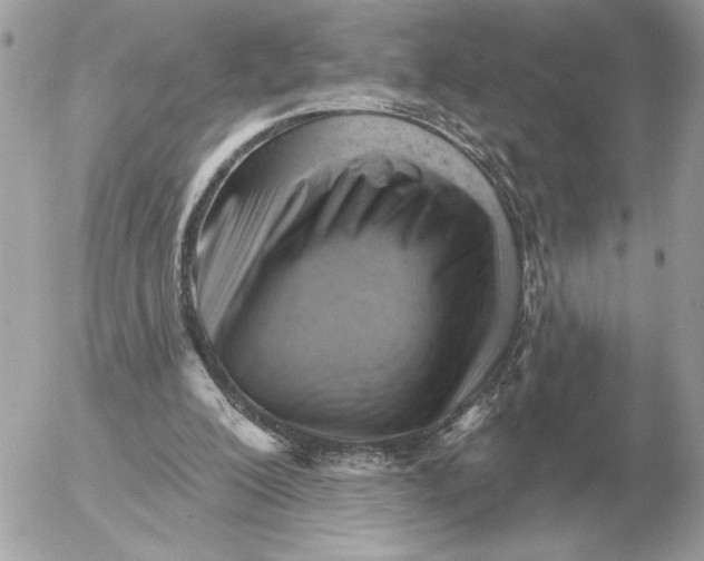 X0000052640200200507221824