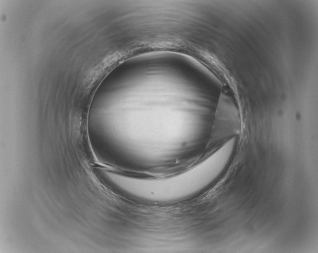 X0000052640201200507221824