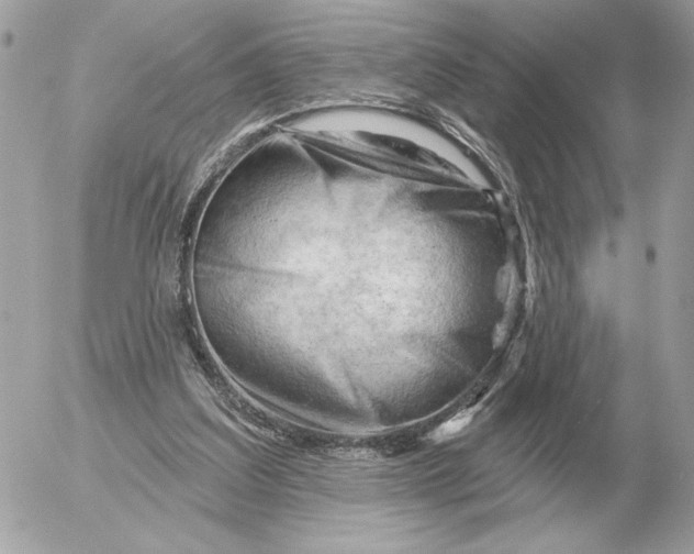 X0000052640203200507221824