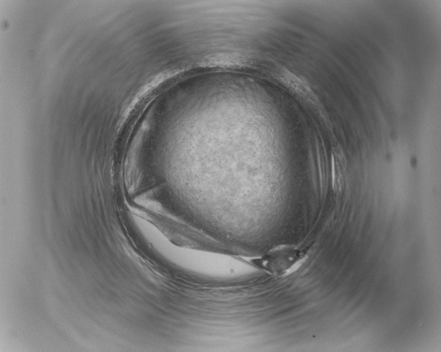 X0000052640204200507221824