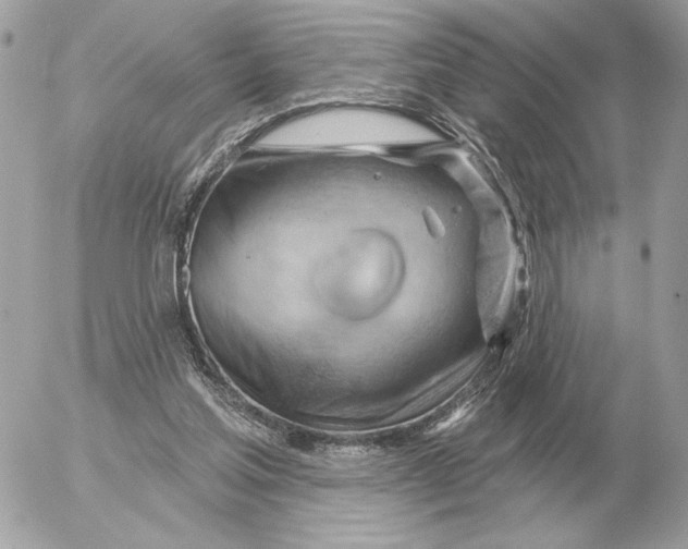 X0000052640205200507221824