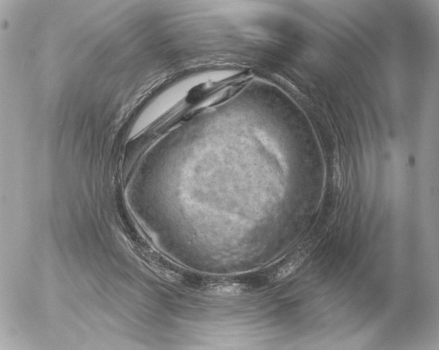 X0000052640206200507221824