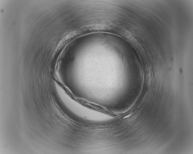 X0000052640207200507221824