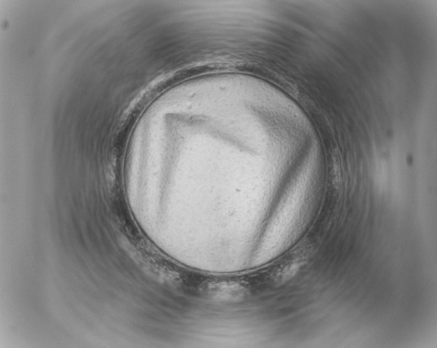 X0000052640208200507221824