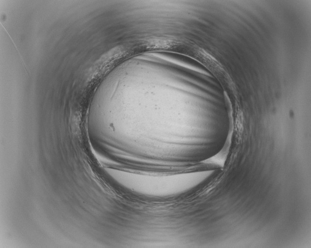 X0000052640209200507221824