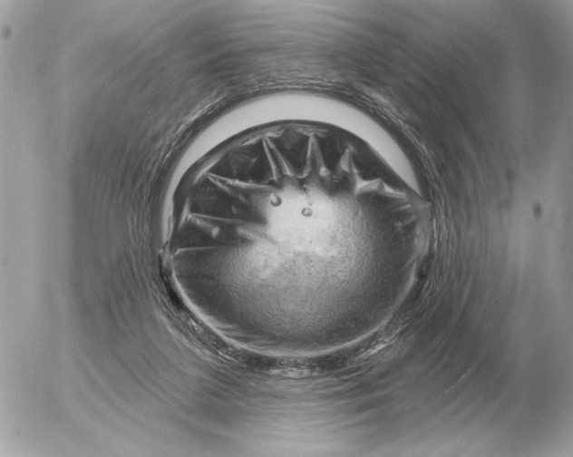 X0000052640211200507221824