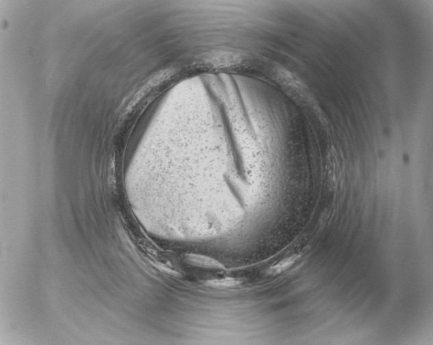 X0000052640212200507221824