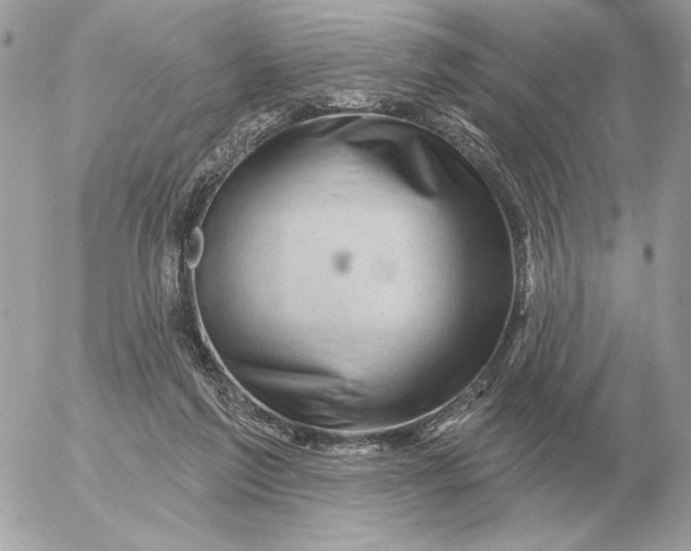 X0000052640213200507221824