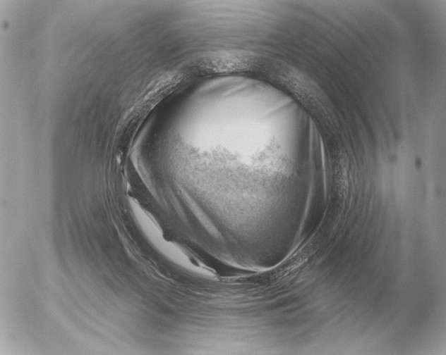 X0000052640214200507221824