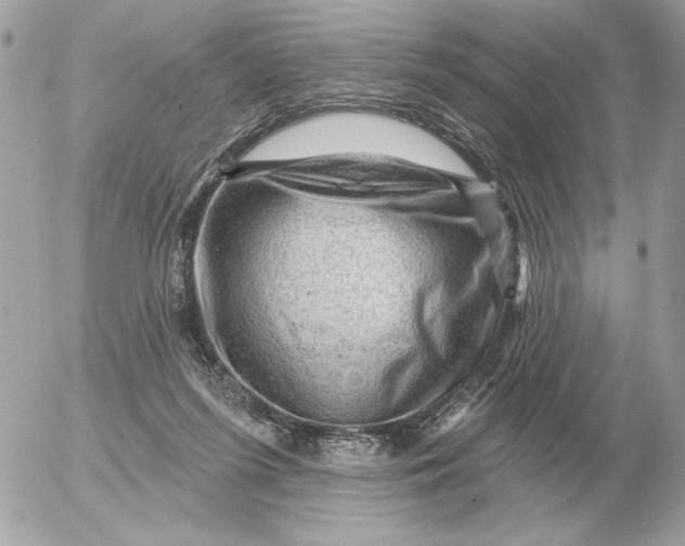 X0000052640215200507221824