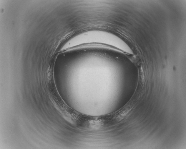 X0000052640216200507221824