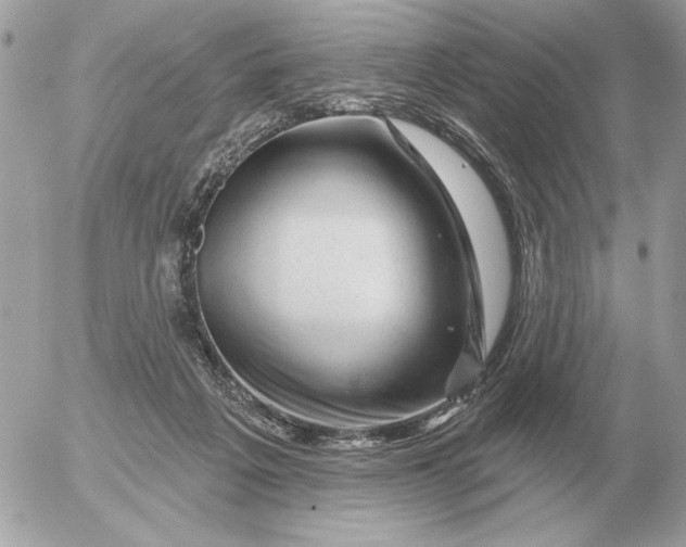 X0000052640217200507221824