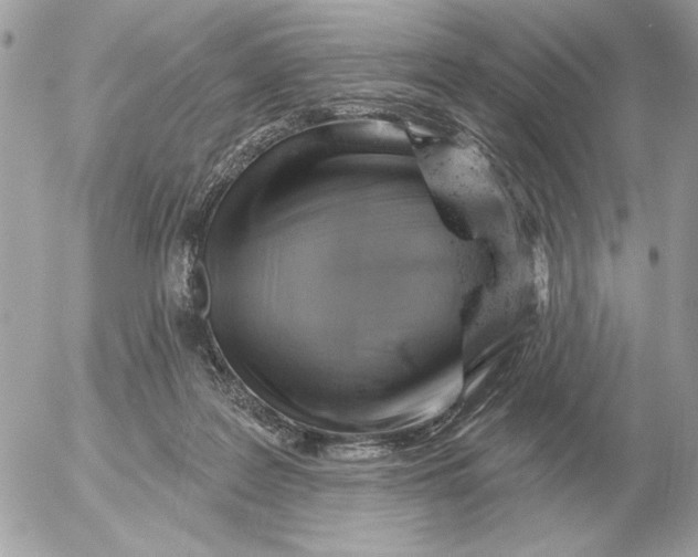 X0000052640219200507221824