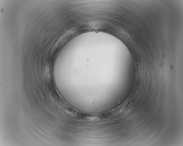 X0000052640220200507221824