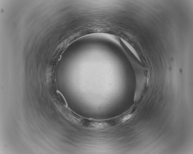 X0000052640221200507221824