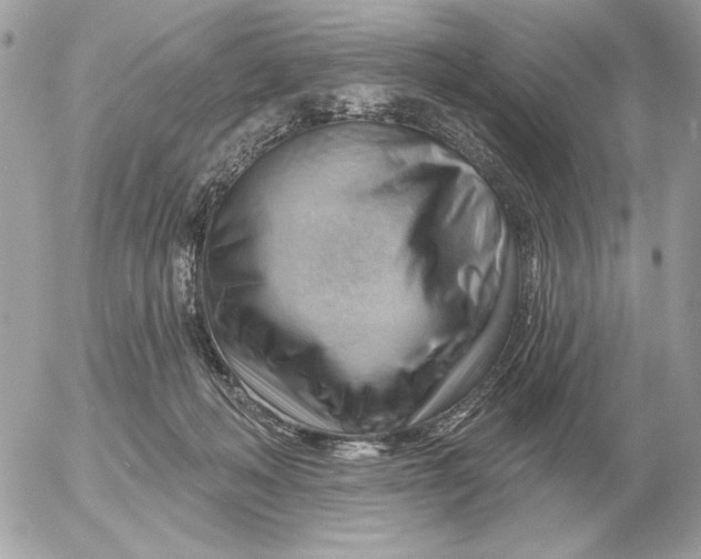 X0000052640222200507221824