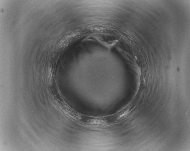 X0000052640223200507221824