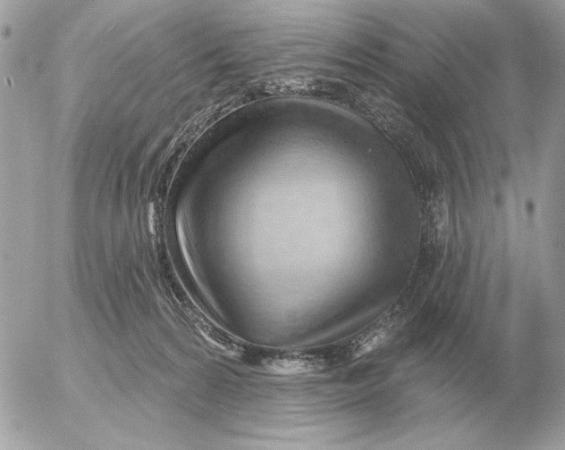 X0000052640224200507221824