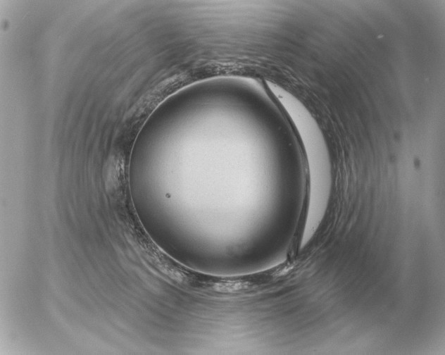 X0000052640225200507221824