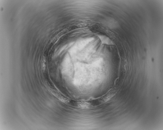 X0000052640226200507221824