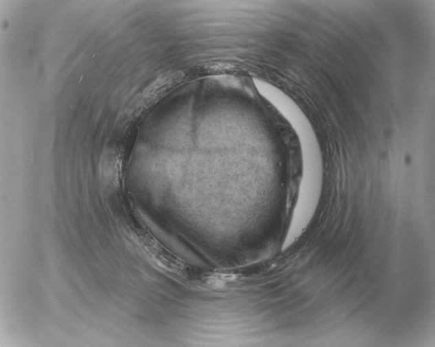 X0000052640227200507221824