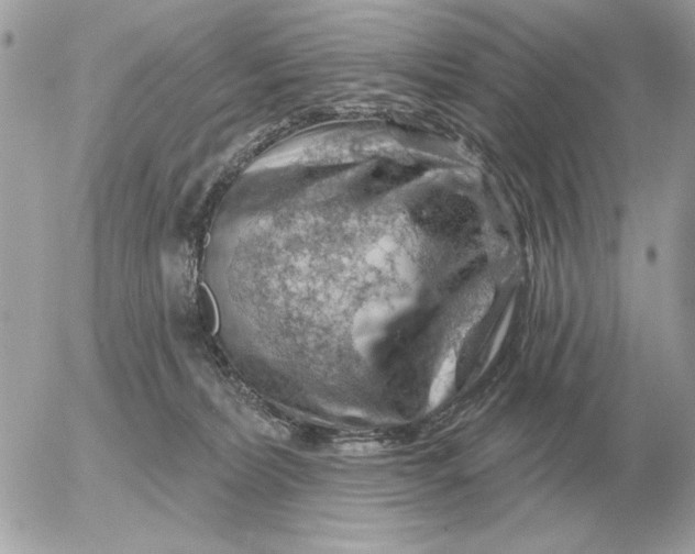 X0000052640228200507221823