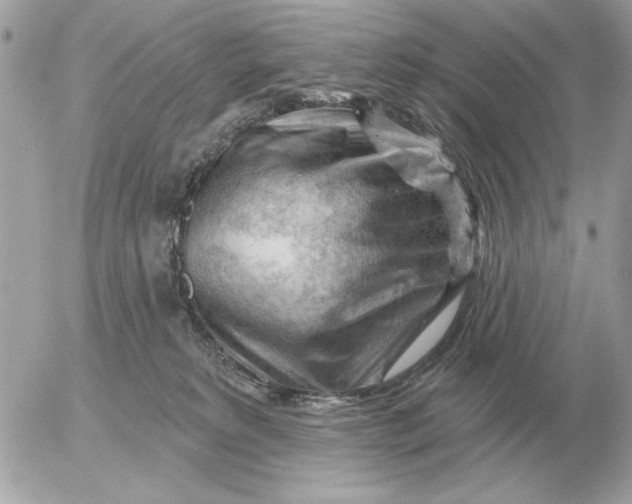 X0000052640229200507221823