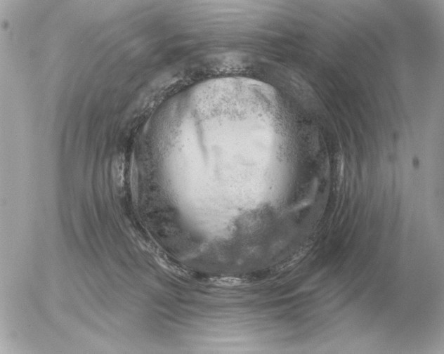 X0000052640230200507221823