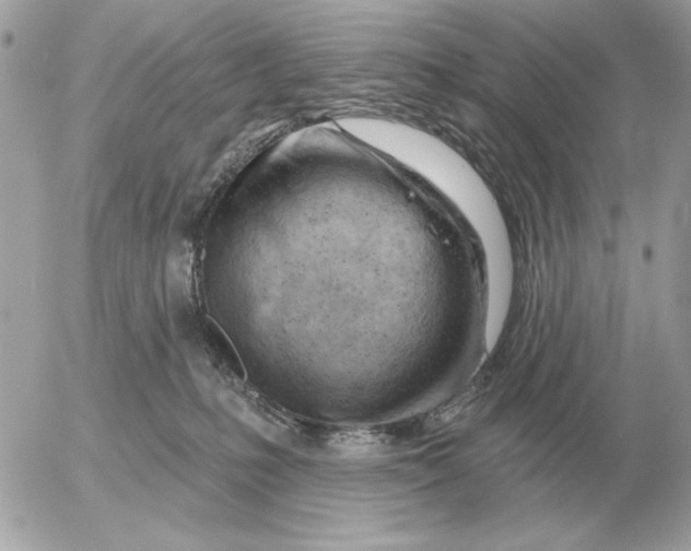 X0000052640231200507221823