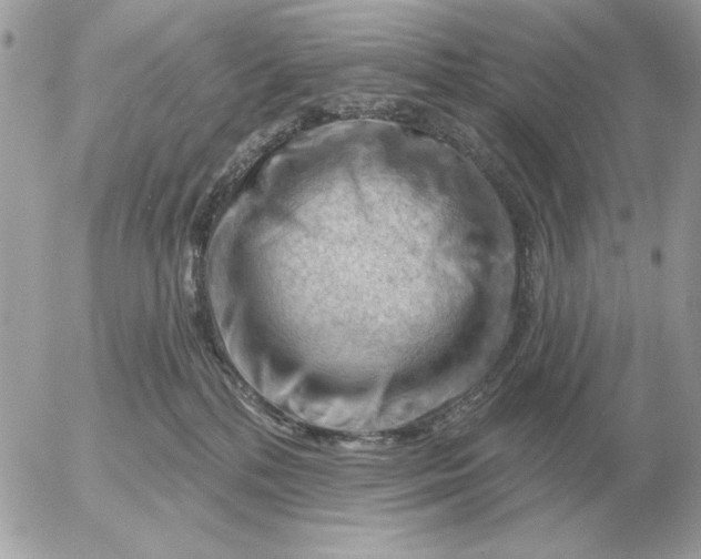 X0000052640232200507221823