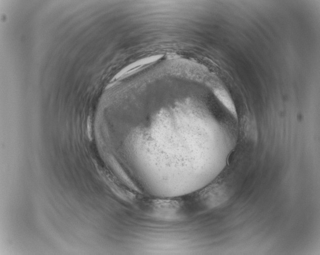 X0000052640234200507221823