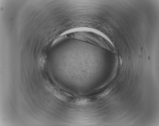 X0000052640235200507221823