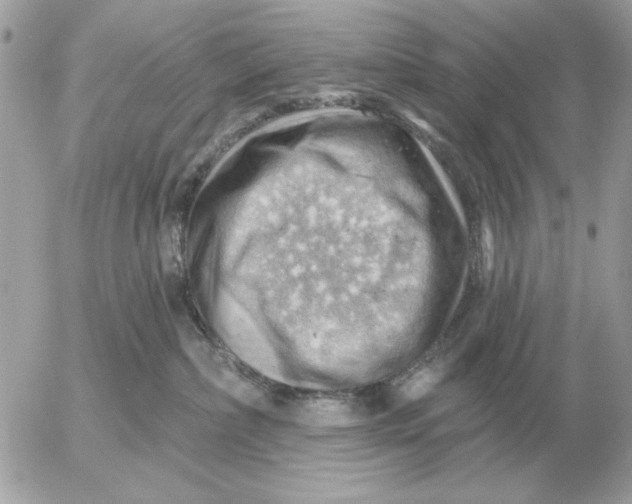 X0000052640236200507221823