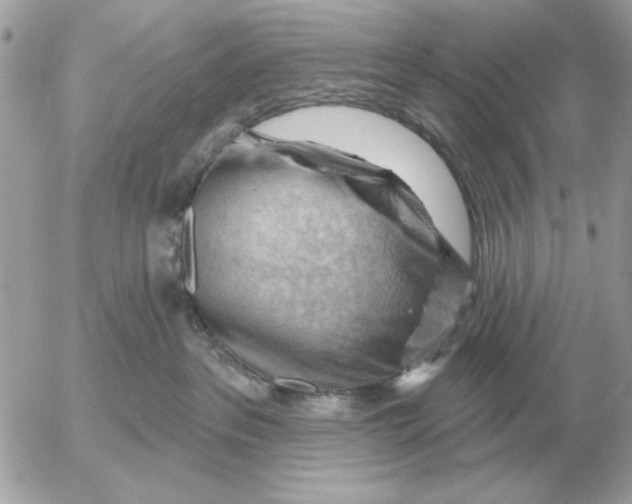 X0000052640237200507221823