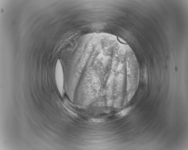 X0000052640238200507221823