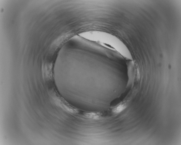 X0000052640239200507221823