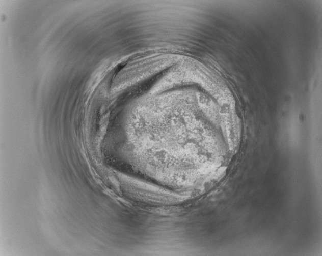 X0000052640241200507221823