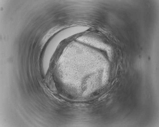 X0000052640242200507221823