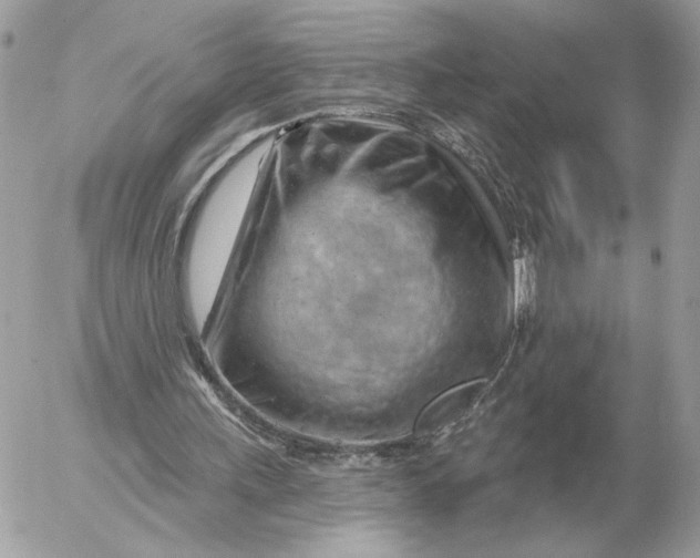 X0000052640243200507221823