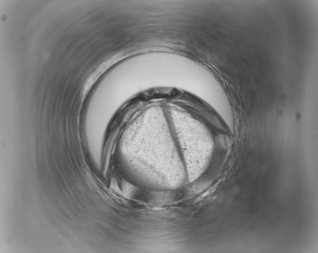 X0000052640244200507221823