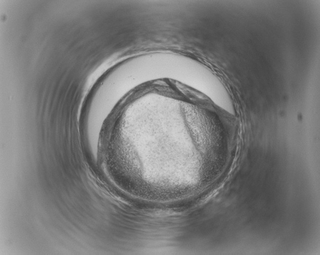 X0000052640246200507221823