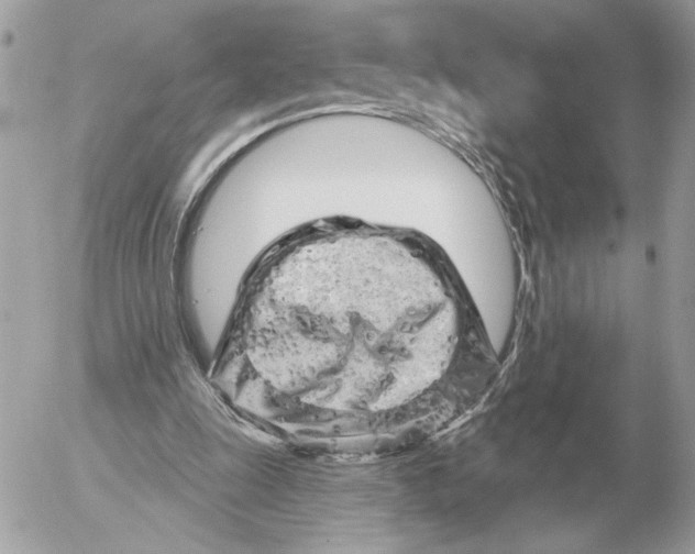 X0000052640247200507221823