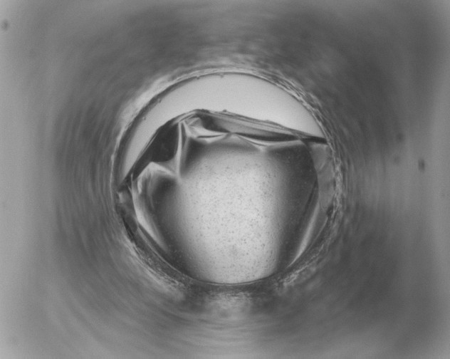 X0000052640248200507221823