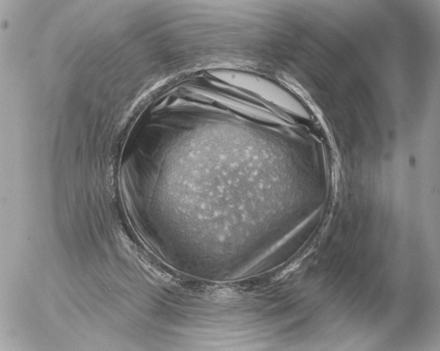 X0000052640249200507221823