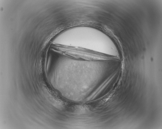 X0000052640250200507221823