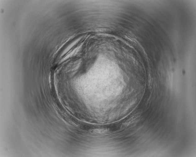 X0000052640251200507221823