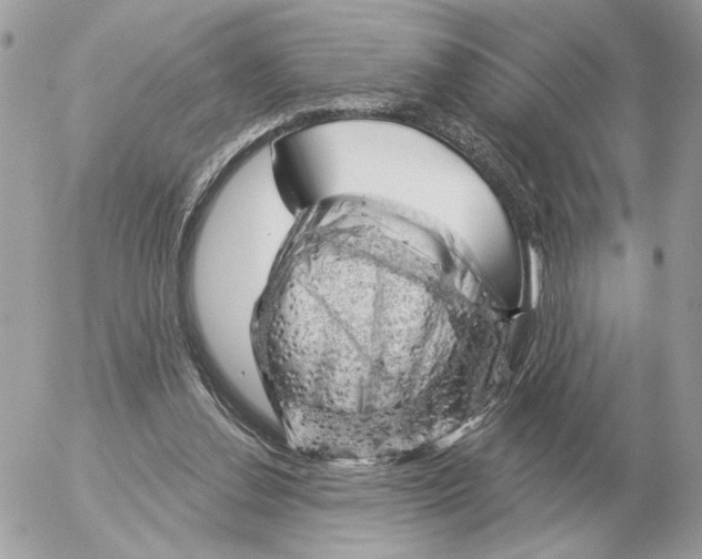 X0000052640252200507221823